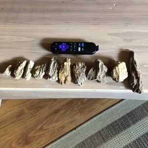 Fossilized Wood Collection